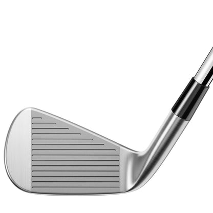 TaylorMade P790 Irons