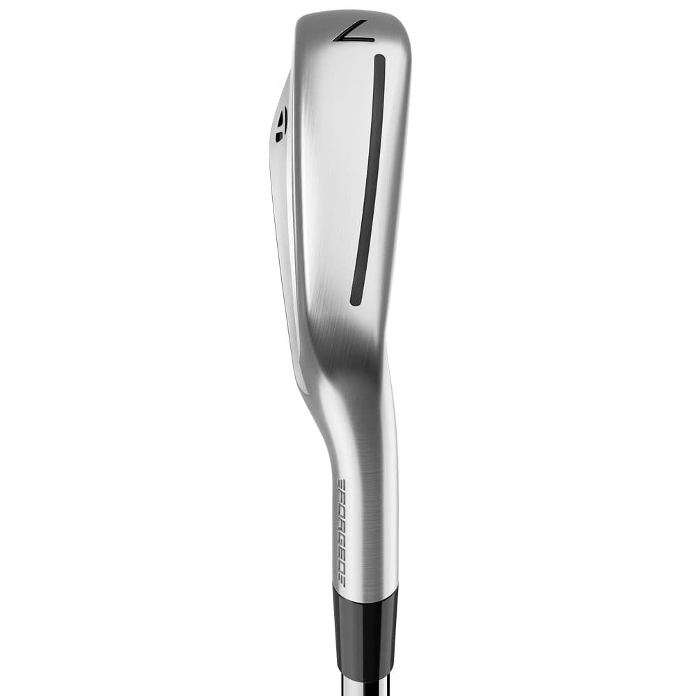 TaylorMade P790 Irons